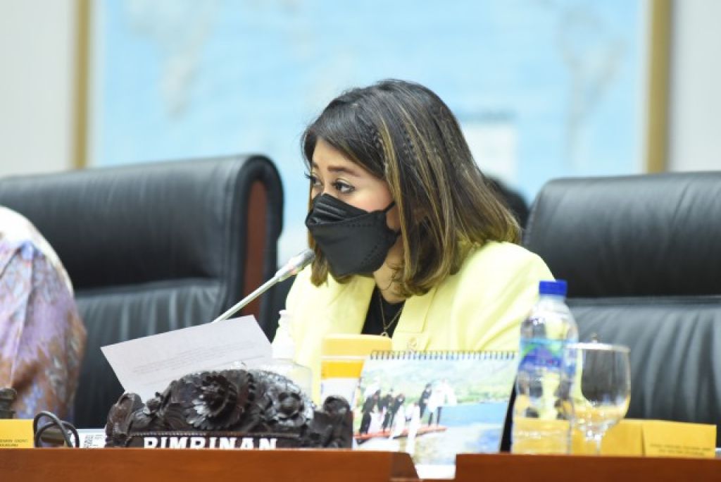 La Camera dei Rappresentanti annuncia la ratifica del disegno di legge PDP prevista per agosto 2022