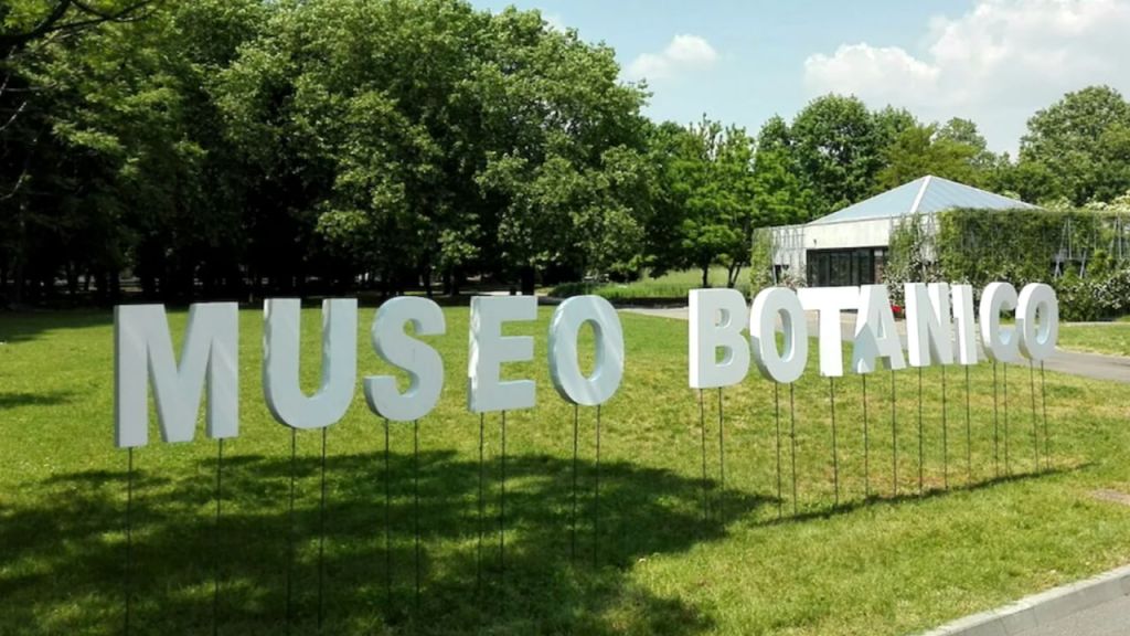 Verde: il secondo appuntamento al MuBAJ con visite guidate in lingua inglese e cinese