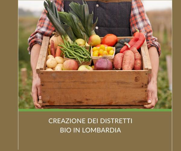 Sostenibilità in Lombardia: Nuova Iniziativa per ...